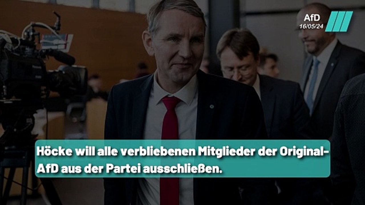 AfD Thüringen im Chaos: Höcke bricht mit eigener Partei