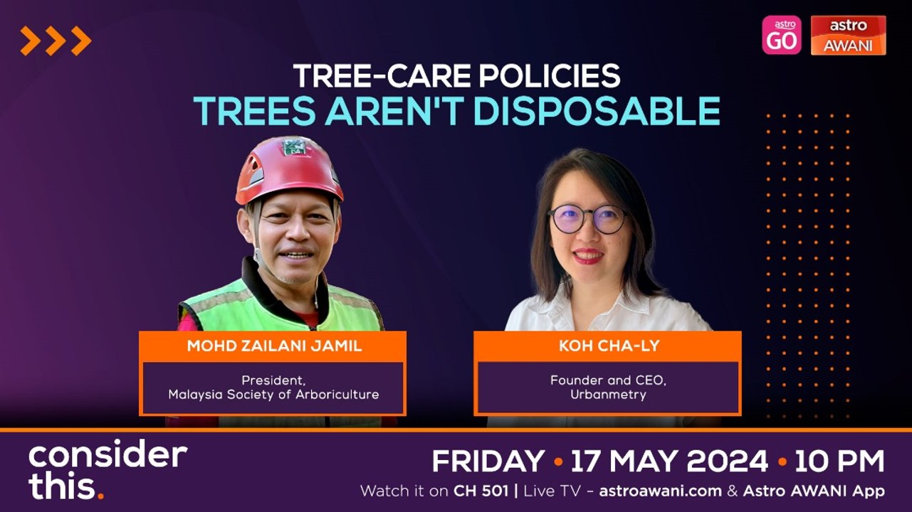 Consider This: Tree-Care Policies (Part 2) — Help Trees Thrive In Concrete Jungles