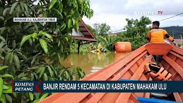 Penampakan Banjir Setinggi Atap Rumah Rendam Mahakam Ulu Kaltim