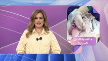 العربية ويكند | هل ينجح حفظ الخلايا الجذعية في علاج الكبد والخلايا العصبية؟