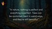 Top Quotes About Nature | Best Inspirational Quotes on Nature | Thinlking Tidbits