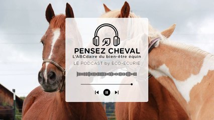 Épisode 17 : Rochdi RYCKELYNCK - Haras du Lieu Blanc