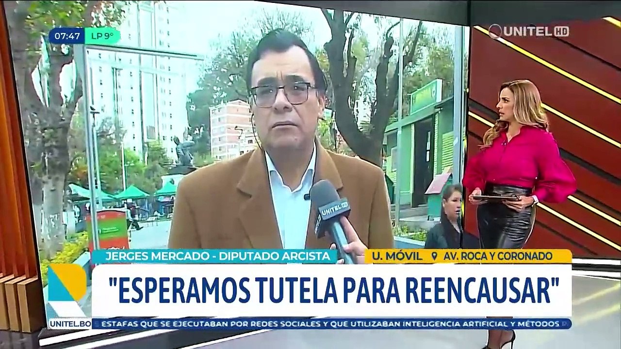 Jefe de bancada del MAS dice que el TCP ya notificó con sorteo de causa sobre las judiciales