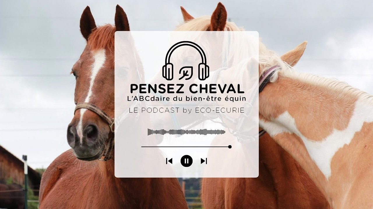 Épisode 24 : Philipe LECOMTE - HARAS DE NEROLI