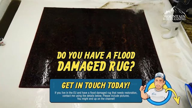 100% GENUINE Flooded Rug Cleaning _ Satisfying ASMR Carpet Cleaning
