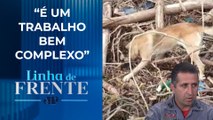 1º sargento da PM explica atuação de cães em desastres e ocorrências | LINHA DE FRENTE