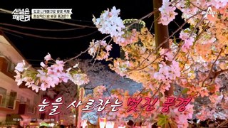 입이 떡 벌어지는 장관! 길거리 음식까지? 도쿄 나카메구로 벚꽃 축제