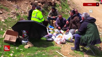 Ordulu çobanların 4 gün sürecek yayla yolculuğu başladı