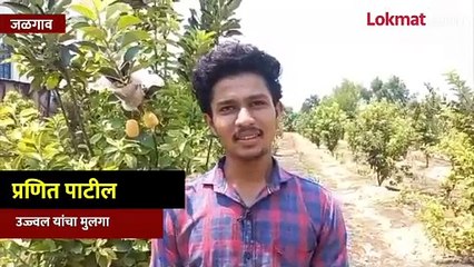 केळी पिकवणारा जळगाव जिल्हा आता सफरचंदही पिकवणार