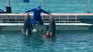 Gitl experiences the whirlwind romance with dolphins in the tropical paradise of Cuba