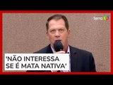 Vereador no RS propõe desmatamento e culpa 'peso das árvores' por deslizamentos