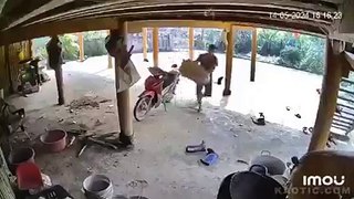 Hombre es mordido por una serpiente mientras limpiaba