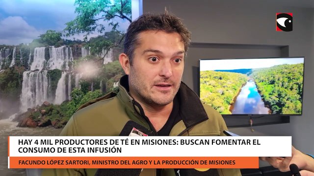 Hay 4 mil productores de té en Misiones: buscan fomentar el consumo de esta infusión