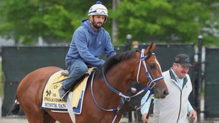 Mystik Dan Favored at Preakness Stakes After Key Scratch
