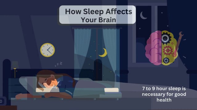 How Sleep Affects Your Brain