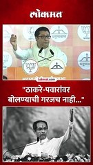 जे सत्तेत येणारच नाहीयेत त्यांच्यावर का बोलायचं, राज ठाकरेंचा महायुतीला सल्ला....