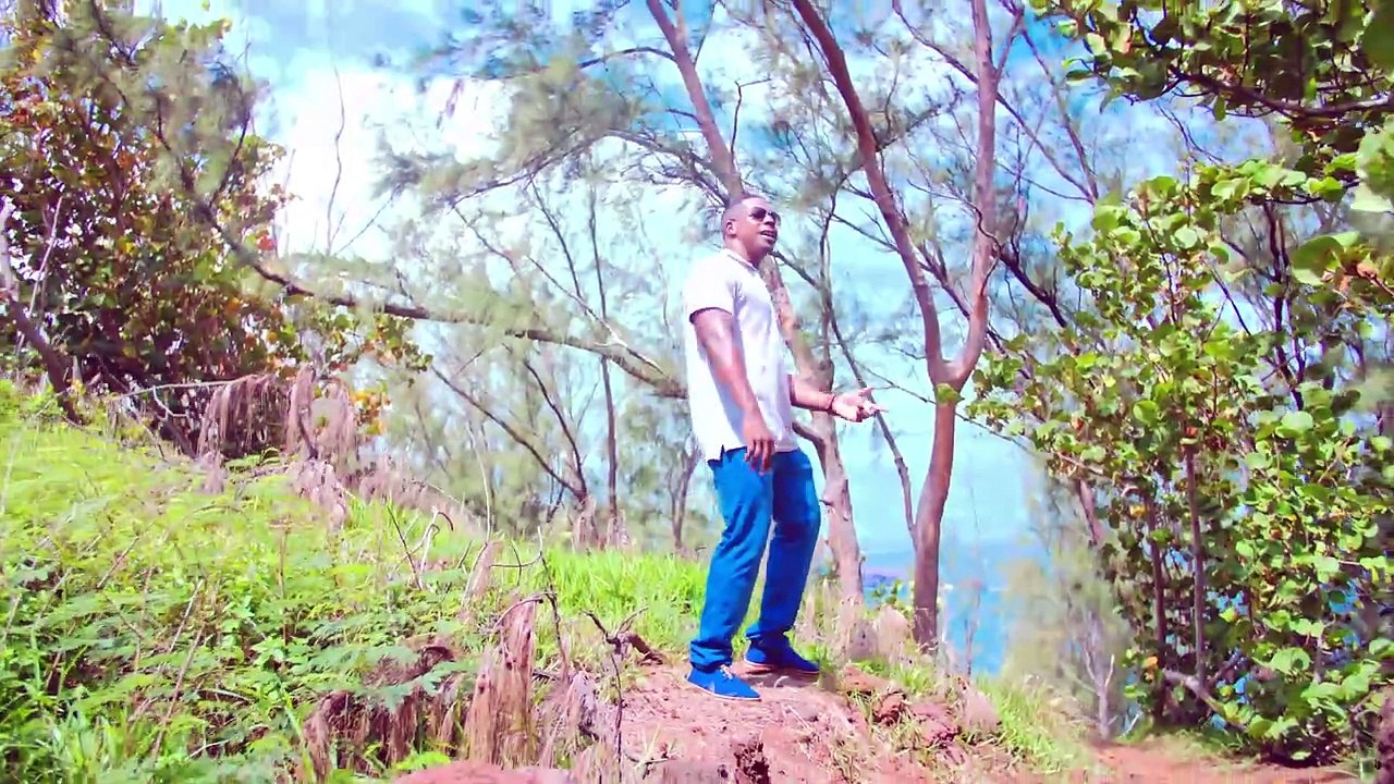 Dj Go 974 & Cedric Maho (Dryce) - Medley Max Lauret