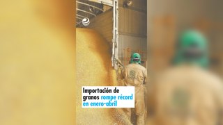 Importación de granos rompe récord en enero-abril
