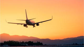 Boeing : un 737 se pose en urgence à Lyon après «une odeur de chaud