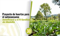 670 familias de Medellín se beneficiarán del proyecto huertas para el autoconsumo