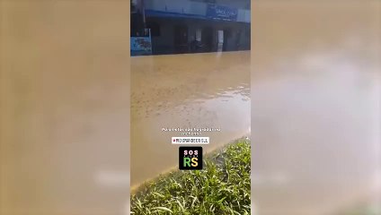 Palometas en Porto Alegre