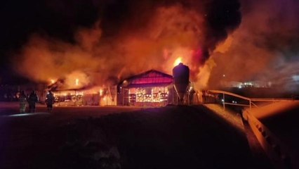 경남 합천 양계장에서 불...닭 1만8천 마리 폐사 / YTN