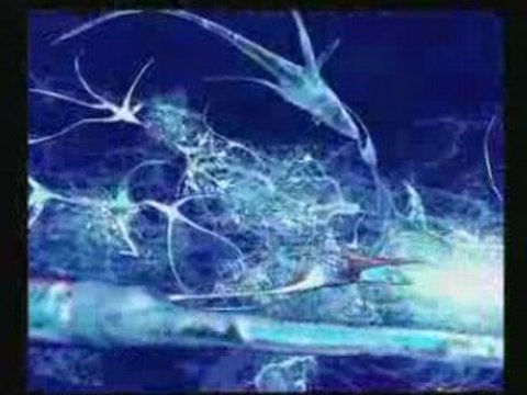 NESSBEAL - Roi sans couronne