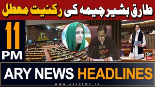 ARY News 11 PM Headlines 17th May 2024 | Tariq Bashir Cheema suspended for NA session