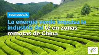 La energía verde impulsa la industria del té en zonas remotas de China