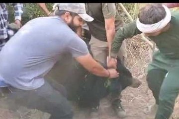 सरिस्का से निकला भालू आखिर नाहर खेड़ा से रेस्क्यू... देखें वीडियो