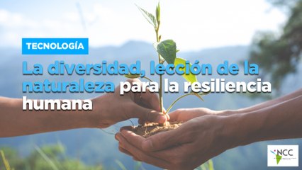 La diversidad, lección de la naturaleza para la resiliencia humana