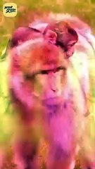 जानवर बना दिया || आचार्य प्रशांत