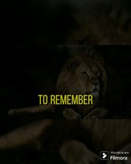 Remember These Things To Keep A Humble Heart