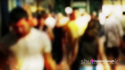 The Divine Script_ A Lightworker's Journey    2024-04-06