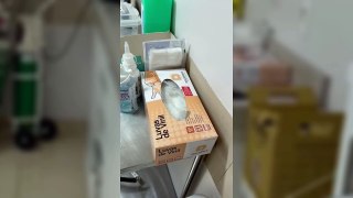 Paciente denuncia uso de luvas inadequadas para atendimento médico em Hospital de Cascavel