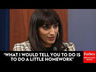 ‘You’re Significantly Oversimplifying Things’: Singh Spars With Reporter Over Weapons Sent To Gaza