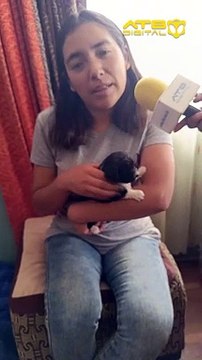 Conoce la historia de cinco cachorritos que fueron rescatados en el mercado Rodríguez