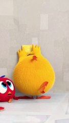 everything_s_fine!_#Shorts_#chicky___Chicky_Cartoon_in_English_for_Kids(1080p)