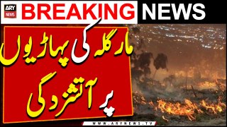 Fire erupts in Islamabad forest Margalla Hills | ARY Breaking News