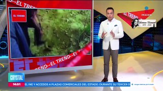 No te puedes perder lo más viral de las redes sociales