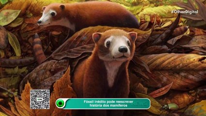 Fóssil inédito pode reescrever história dos mamíferos