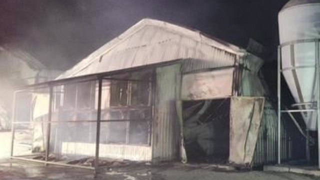 경남 합천 양계장에서 불...닭 1만6천 마리 폐사 / YTN