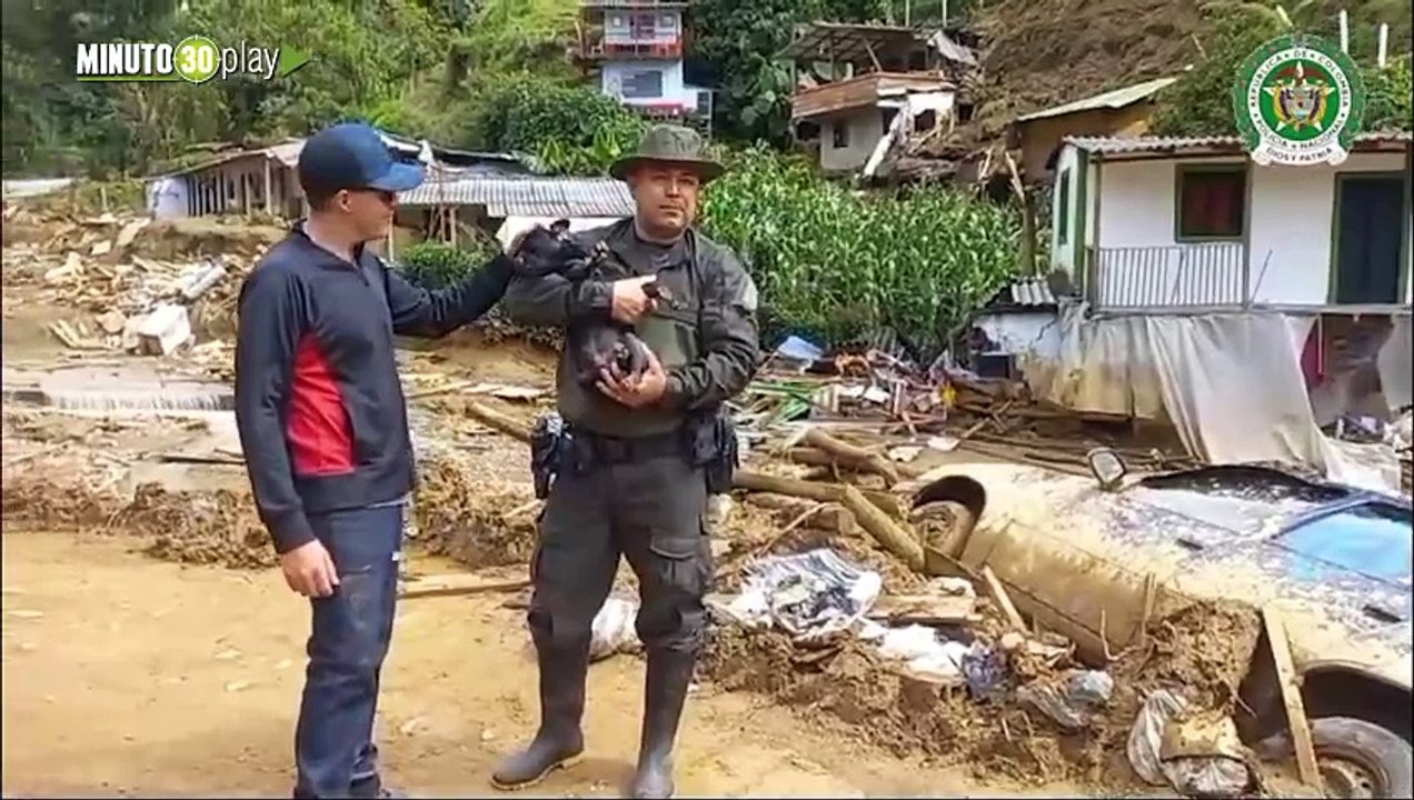 ¡Esperanza en Montebello! La Policía Nacional ayuda a animales afectados por la tragedia