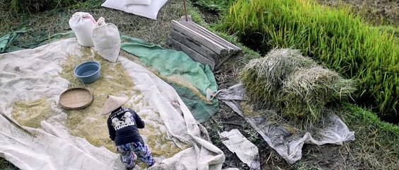 Cinematic Pemandangan 4K No Copyright