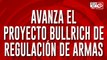 Avanza el proyecto Bullrich de regulación de armas