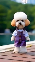 The_Dog__#animals_#pets_#animal_#threeidiots__#caring_#funnyvideo_#shorts_#adventure_#2k24(360p)