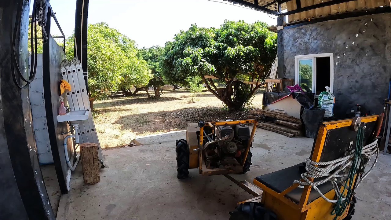 Datteln in Thailand LECKER! Eine Dattelfarm ganz h