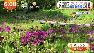 バラエティ番組 無料 varietydouga.com - めざましどようび 動画　2024年5月17日