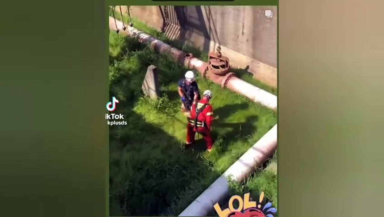 SCARE CAM Priceless Reactions#264 _ Impossible Not To Laugh__TikTok Honors_