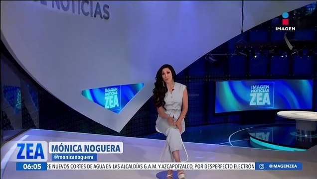 Nacen cachorras de tigre de bengala en un zoológico en Tulancingo